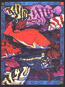 Rockfish